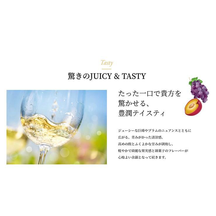 菊正宗 セセシオン スパークリング 豊潤しぼりたて 250ml 