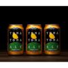 クラフトビール 飲み比べ セット 350ml 4種 20本
