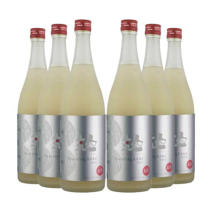 人気酒造 人気一 瓶内発酵 スパークリング純米吟醸 720ml 6本