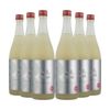 人気酒造 人気一 瓶内発酵 スパークリング純米吟醸 720ml 6本