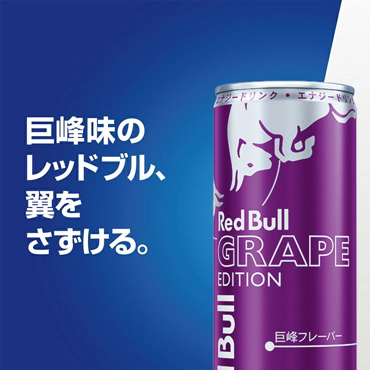 レッドブル エナジードリンク パープル エディション 250ml 48本