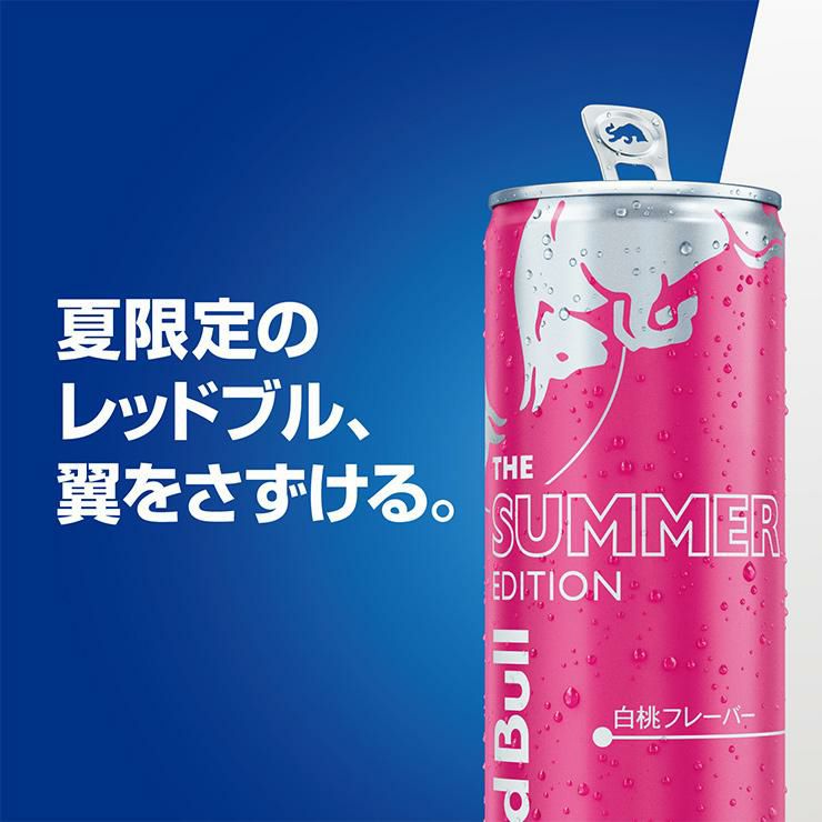 レッドブル エナジードリンク サマーエディション 250ml 48本