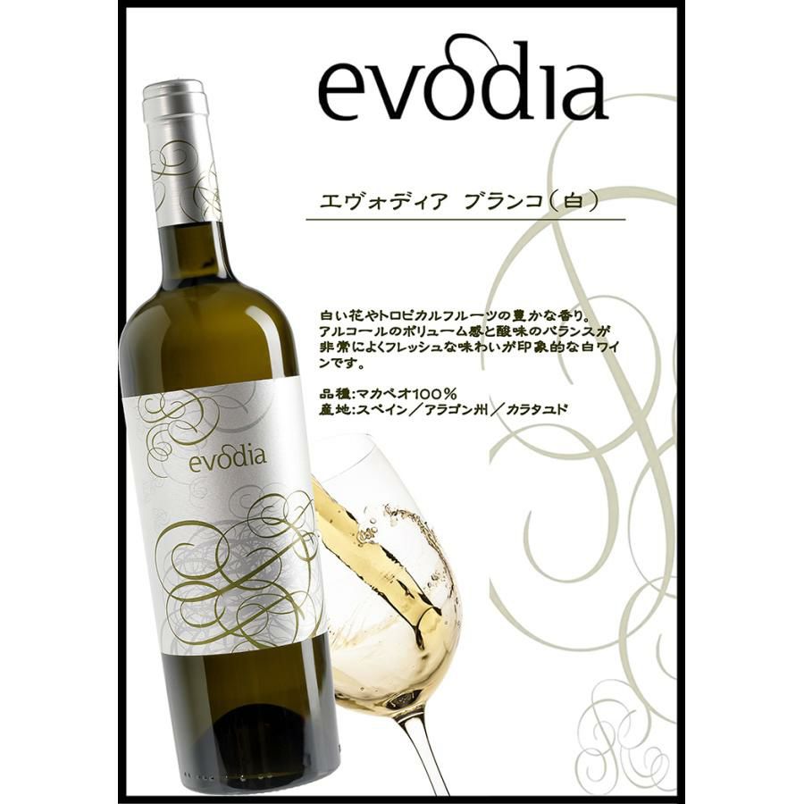 エヴォディア 3種 飲み比べセット