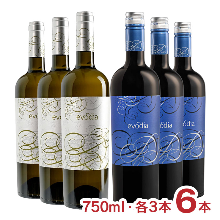 スペイン エヴォディア 赤白 セット 750ml 各3本 6本
