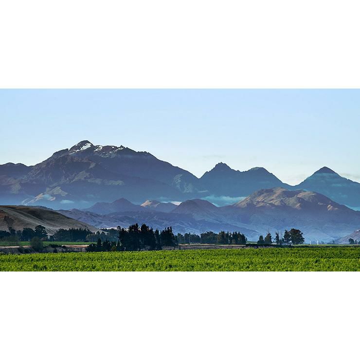 オイスターベイ マールボロ ピノ ノワール 赤 ワイン 赤 750ml 6本 