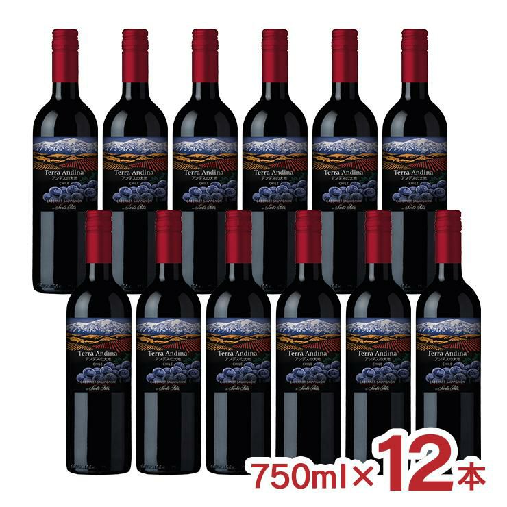 サンタリタ・エステーツ テラ・アンディーナ アンデスの大地 カベルネ・ソーヴィニヨン 750ml 12本