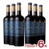  エヴォディア プレステージ ミディアム 赤 赤ワイン 750ml 6本 