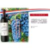 赤ワインセット 750ml 12本セット