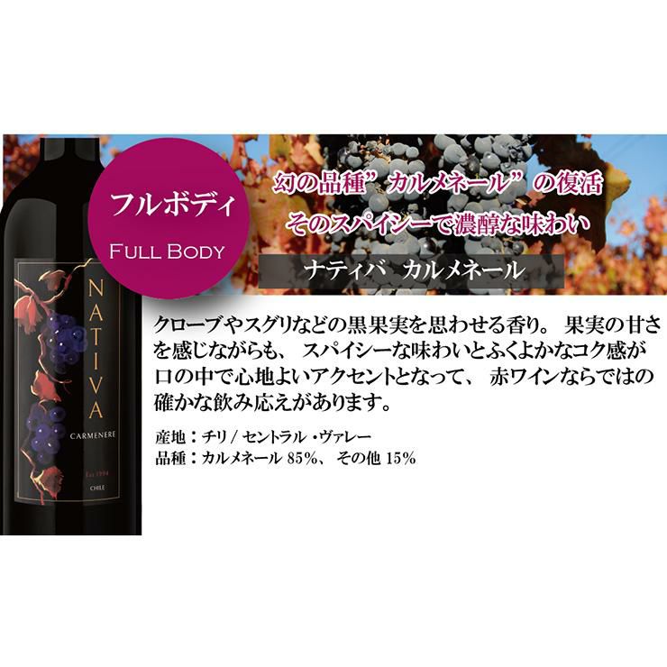 赤ワインセット 750ml 12本セット