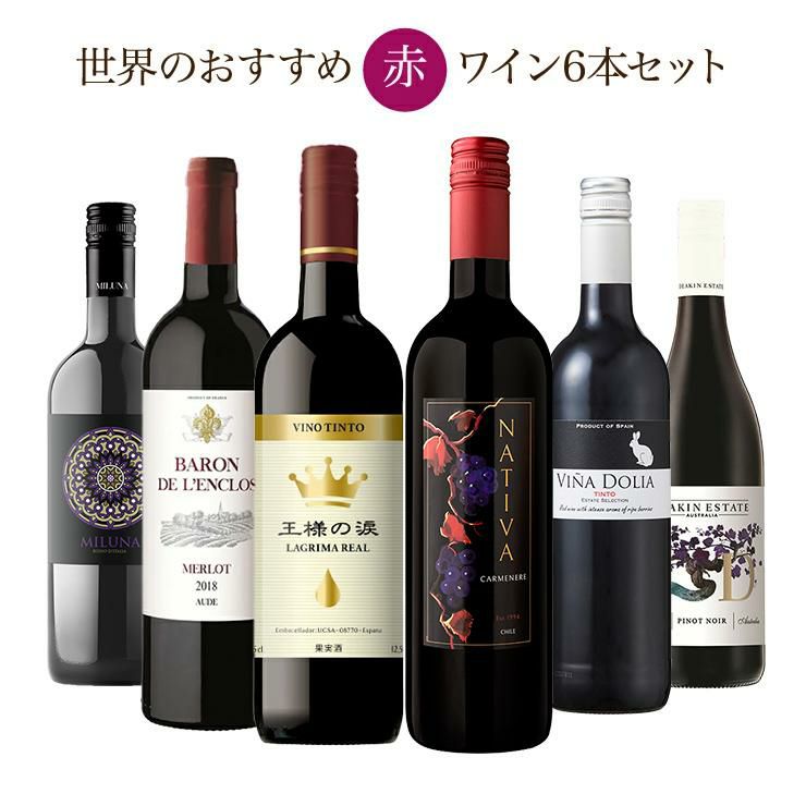ソムリエが選ぶ 世界の赤ワイン セット 750ml 6本