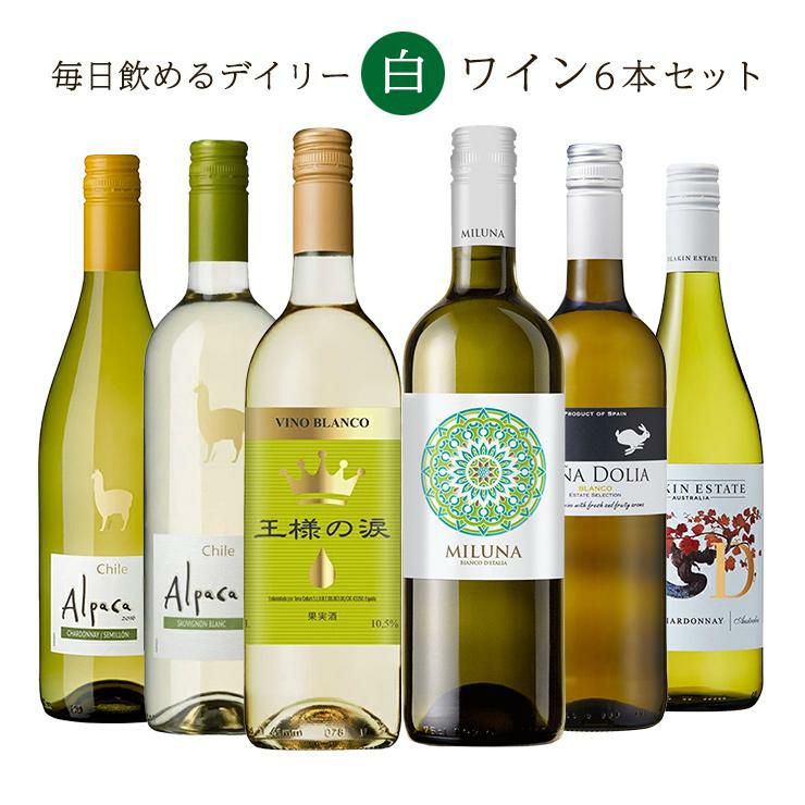 毎日飲める デイリー 辛口 白ワインセット 750ml 6本
