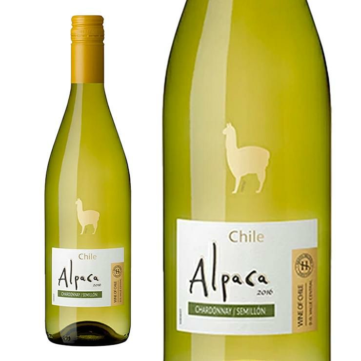  毎日飲める デイリー 辛口 白ワインセット 750ml 6本