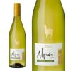  毎日飲める デイリー 辛口 白ワインセット 750ml 6本