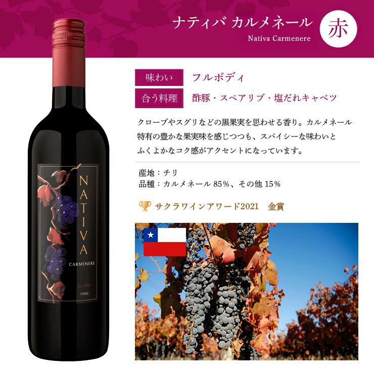 ソムリエが選ぶ 世界の赤＆白 ワインセット 750ml 6本