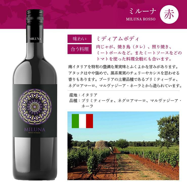 ソムリエが選ぶ 世界の赤＆白 ワインセット 750ml 6本