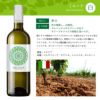 ソムリエが選ぶ 世界の赤＆白 ワインセット 750ml 6本
