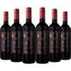 チリ最古のカルメネール ナティバ カルメネール 赤ワイン ミディアムボディ チリ 750ml 6本