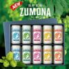 遠野麦酒 ZUMONA 5種 10本 セット 350ml 