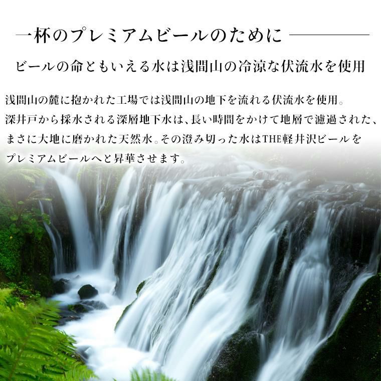 軽井沢ブルワリー THE軽井沢ビール プレミアムクリア 350ml 24本 