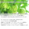 軽井沢ブルワリー THE軽井沢ビール プレミアムクリア 350ml 24本 