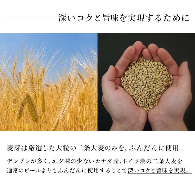 THE軽井沢ビール プレミアムダーク 350ml 24本