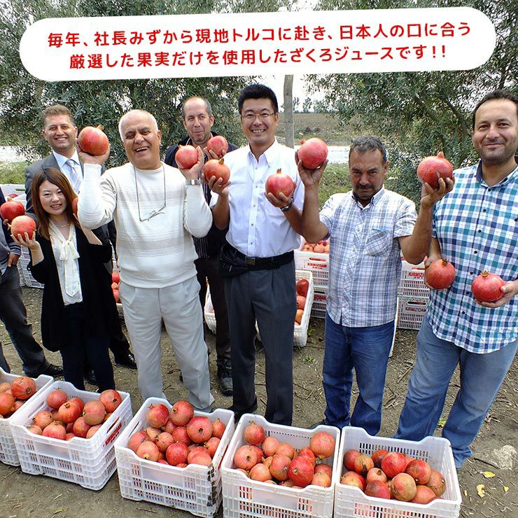 野田ハニー ざくろジュース100％ 飲み切りパック 120g 24本