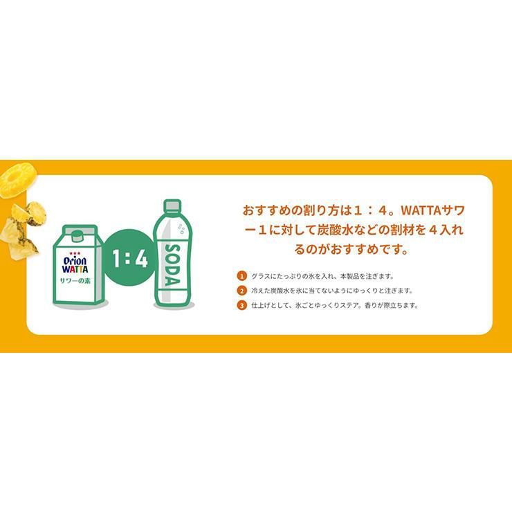 WATTA パイナップルサワーの素 900ml 6本