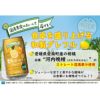 アスター 愛南ゴールドのチューハイ 350ml 24本