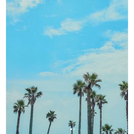 チェジュ ウィットエール 355ml 缶 12本