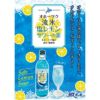 網走ビール オホーツク流氷 塩レモン サワーの素 500ml 6本