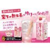 岩下の新生姜サワーの素 500ml 12本
