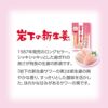 岩下の新生姜サワーの素 500ml 12本