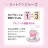 岩下の新生姜サワーの素 500ml 12本