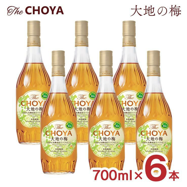 梅酒 ザ・チョーヤ 大地の梅 700ml 6本