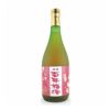 梅酒 百年梅酒 完熟梅特別仕込み 赤ラベル ウメ酒 720ml 3本