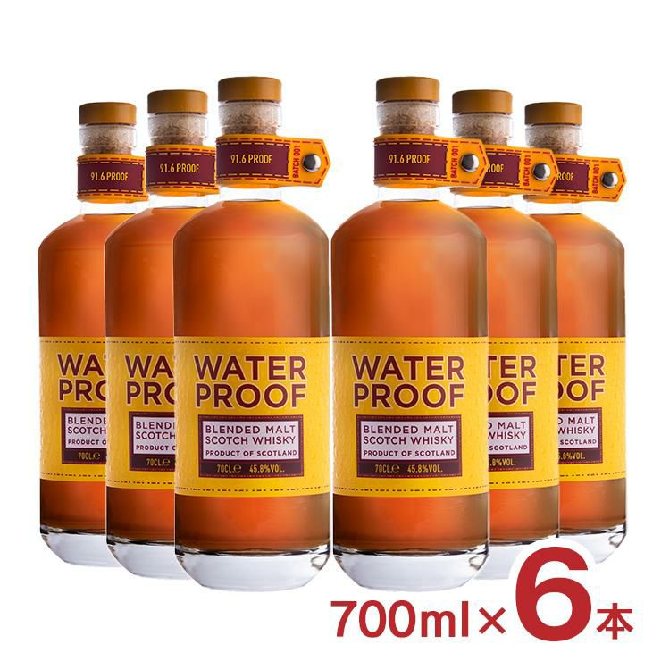 ウイスキー スコッチ ウォータープルーフ 700ml 6本