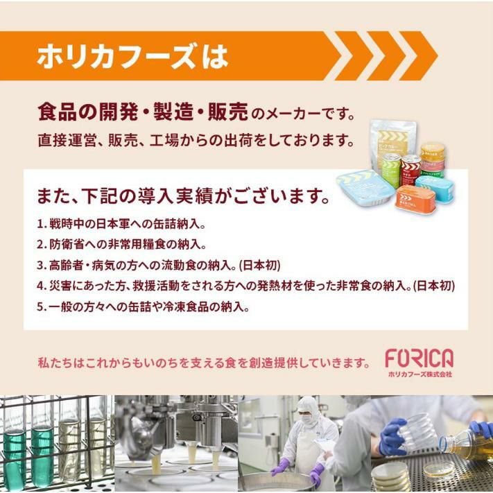 ホリカフーズ レスキューフーズ 一食ボックス 煮込みハンバーグ＆ライス 380g 12個 
