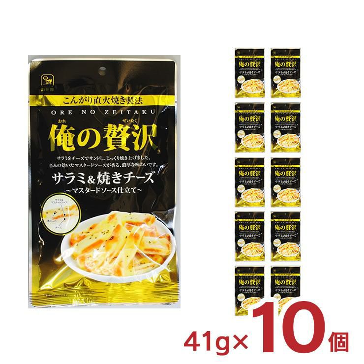 カモ井食品 俺の贅沢 サラミ＆焼きチーズ 41g 10個