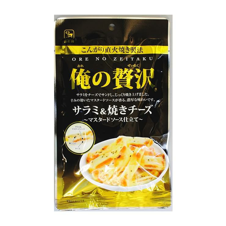 カモ井食品 俺の贅沢 サラミ＆焼きチーズ 41g 10個