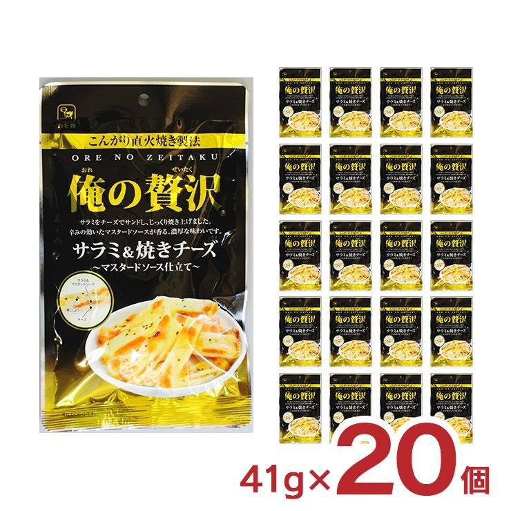  カモ井食品 俺の贅沢 サラミ＆焼きチーズ 41g 20個