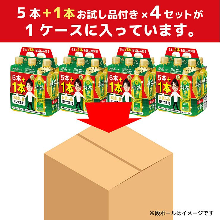 特茶 サントリー 伊右衛門 緑茶 500ml 20本 ＋お試し4本