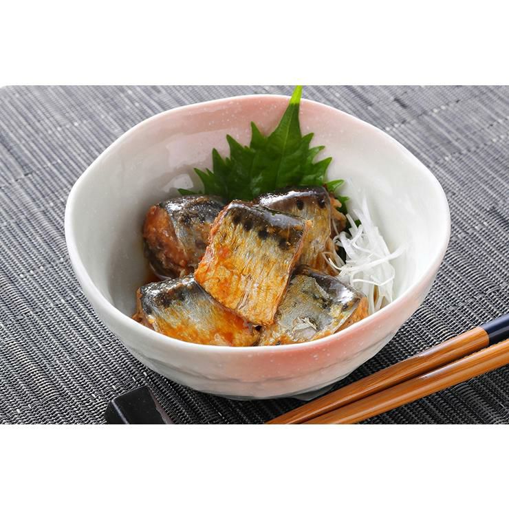 いわし醤油煮 170g 24個 気仙沼ほてい