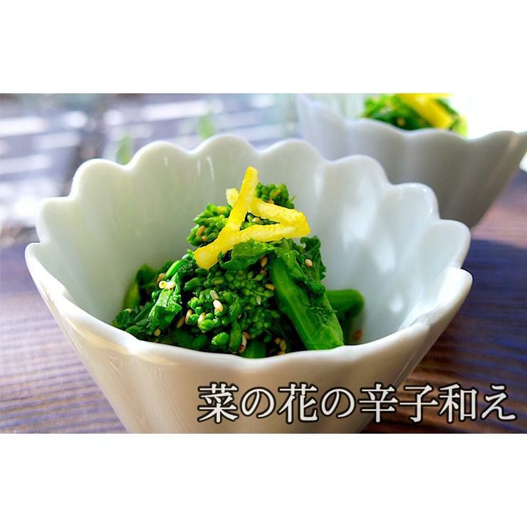 うどんだしの素 1800mL 6本 瓶 旭食品