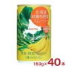ゴールドパック 北海道緑黄色野菜スムージー 160g 40本