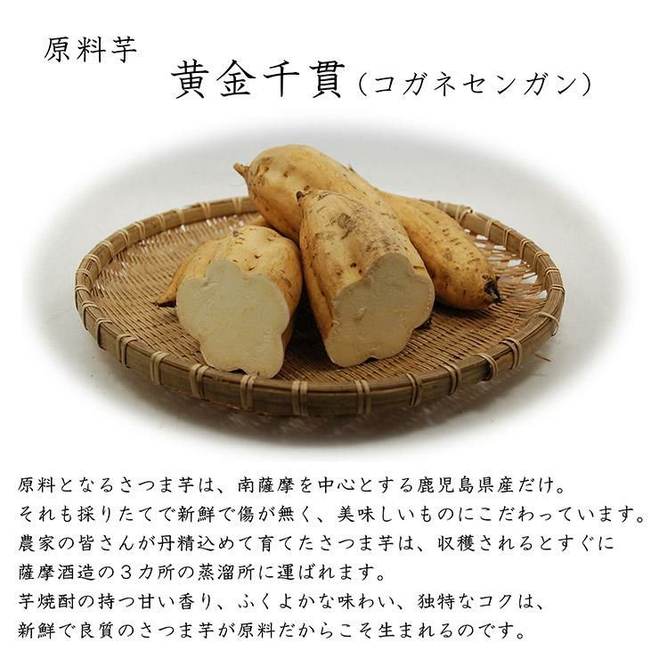 黒白波 25度 900ml 6本 瓶 芋焼酎 いも 薩摩酒造 