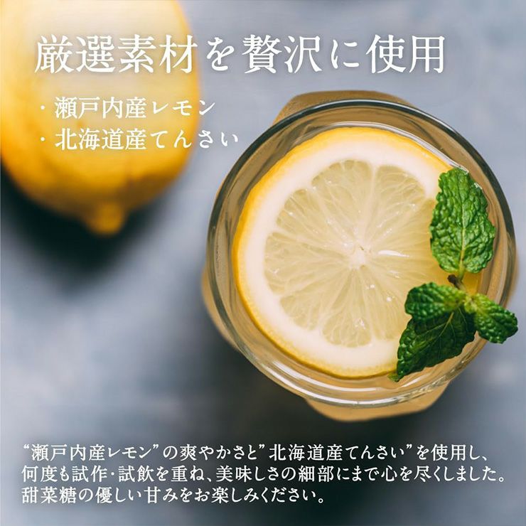 OFF LEMON 300ml 2本 オフレモン 希釈用 レモネード レモンシロップ 栄養機能食品 CityCamp