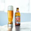 シュマッツ ボトルビールジャーマンラガー 330ml 6本 Schmatz ドイツビール