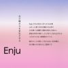 花から造るお酒 Enju TSUTSUJI 500ml 1本 ツツジ