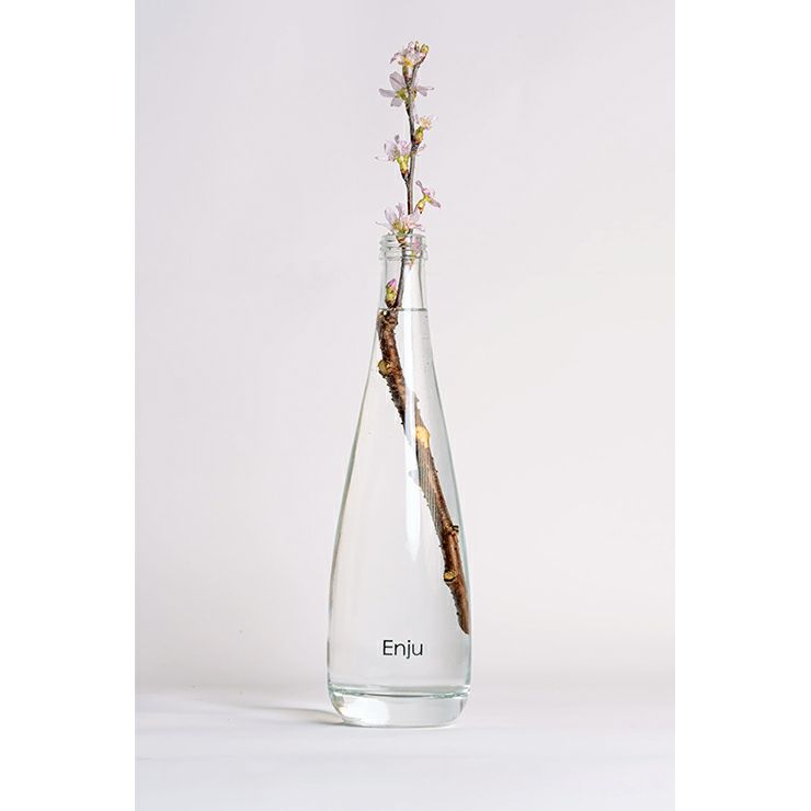 花から造るお酒 Enju SAKURA 500ml 1本 桜 サクラ