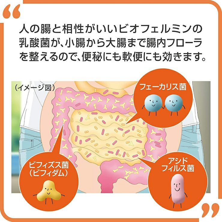 大正製薬 新ビオフェルミンS錠 48錠